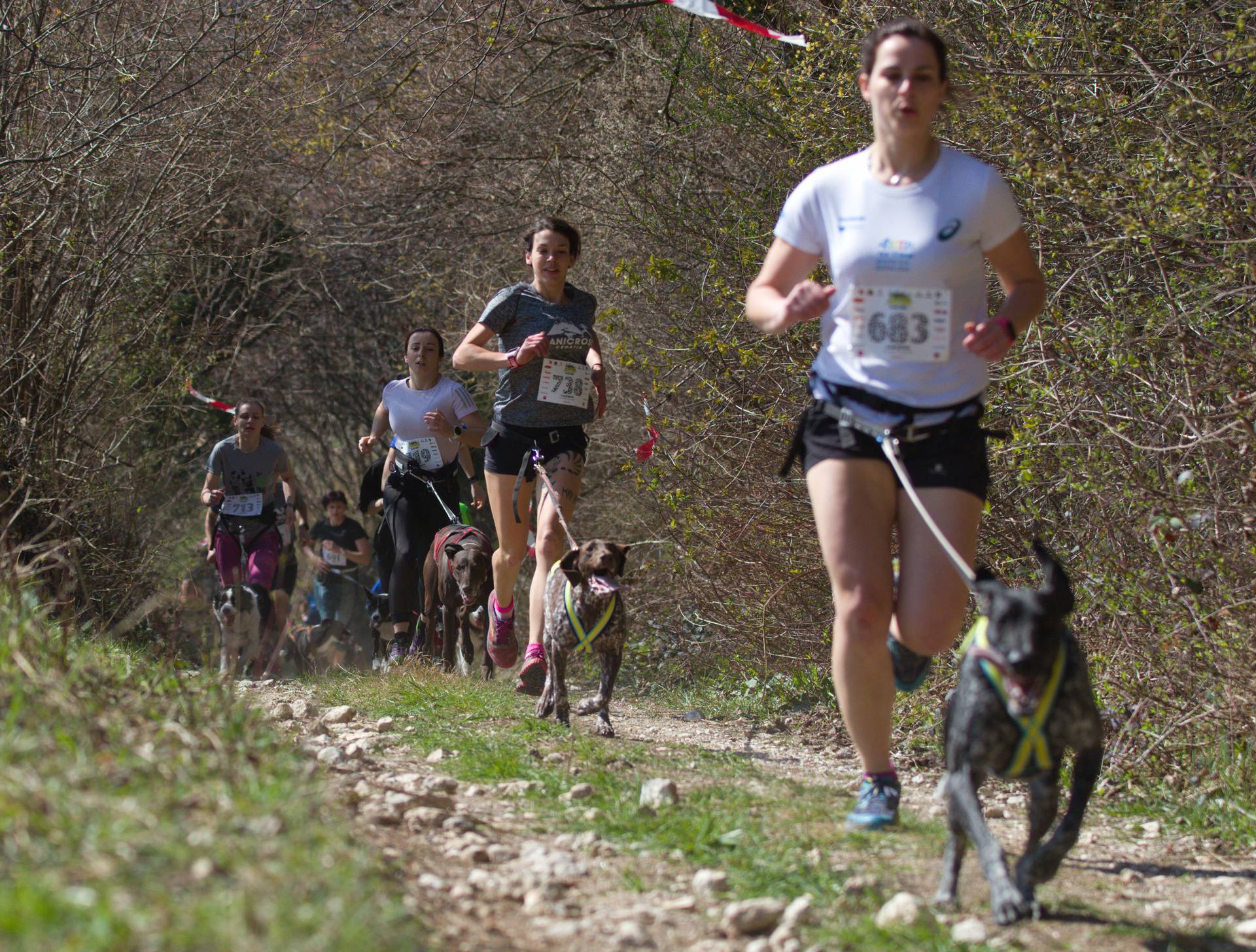 Ovu sve popularniju sportsku disciplinu najviše vole trkači rekreativci i vlasnici pasa