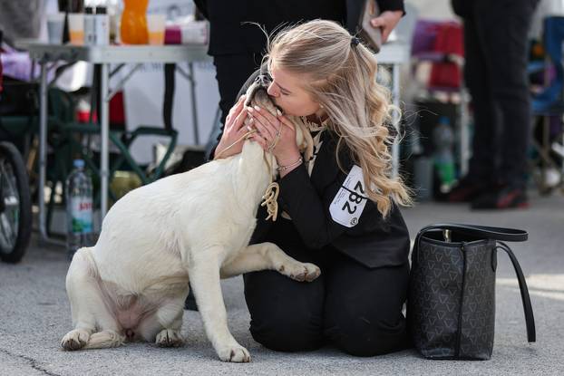 Zaprešić: Ispred Wesgatea održana međunarodna izložba pasa