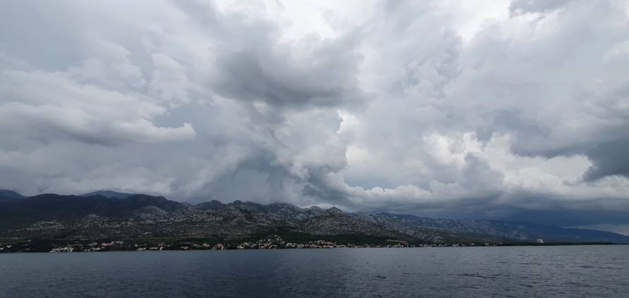 'Nema razloga za strah': Barem dva velika kita su u Jadranu, a dnevno pojedu čak tonu hrane