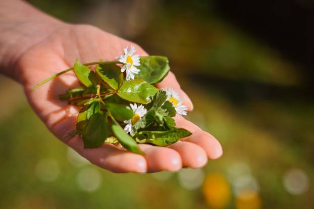 Zagreb: Tradicionalno bojanje uskršnjih jaja