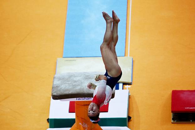 2025 World Artistic Gymnastics Championships