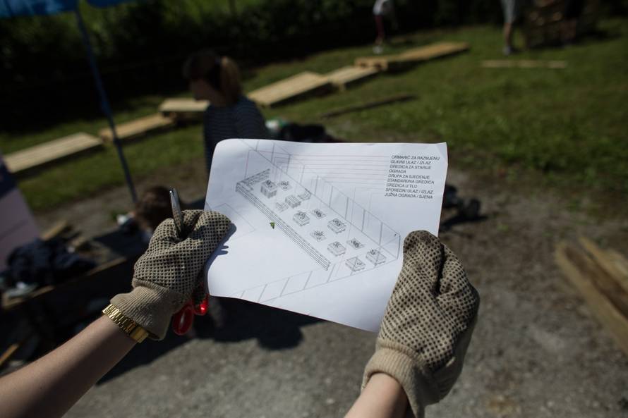 Saznajte trikove urbanog vrtlarenja u sklopu Dana D