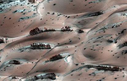 Kamera na sondi snimila je obrise stabala na Marsu?