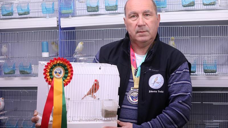 Zlatko este cel mai frumos pasăre cântătoare din lume: ‘Când a câștigat aurul, lacrimile de bucurie au început să curgă’   