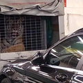 FOTO Tigar na trajektu za Hvar! Jadrolinija: 'Mi nismo dužni pregledavati sadržaj prikolice'