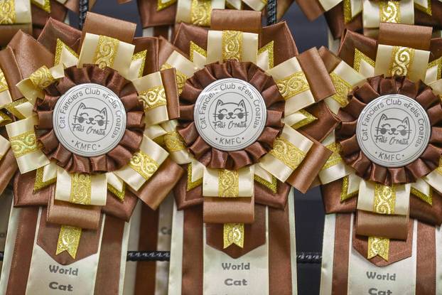 Zagreb: Međunarodna izložba mačaka WCF Cat Olimpia 2025