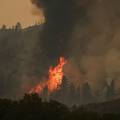 Ogroman požar u Portugalu: Jaki vjetar otežava gašenje, na terenu više od 1100 vatrogasaca