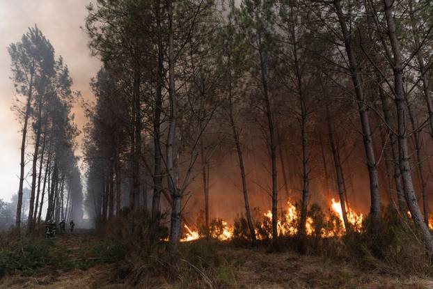 Wildfires rage in southern France