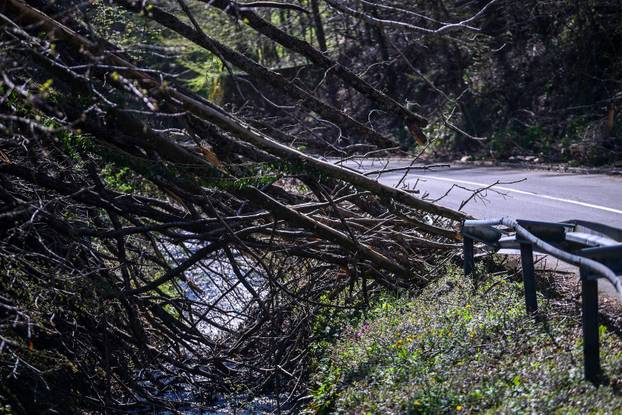 Zagreb: Posljedice olujnog nevremena na Sljemenu