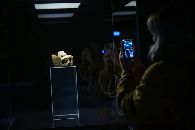 Zagreb: Otvorenje izložbe Lubanja C u Prirodoslovnom muzeju