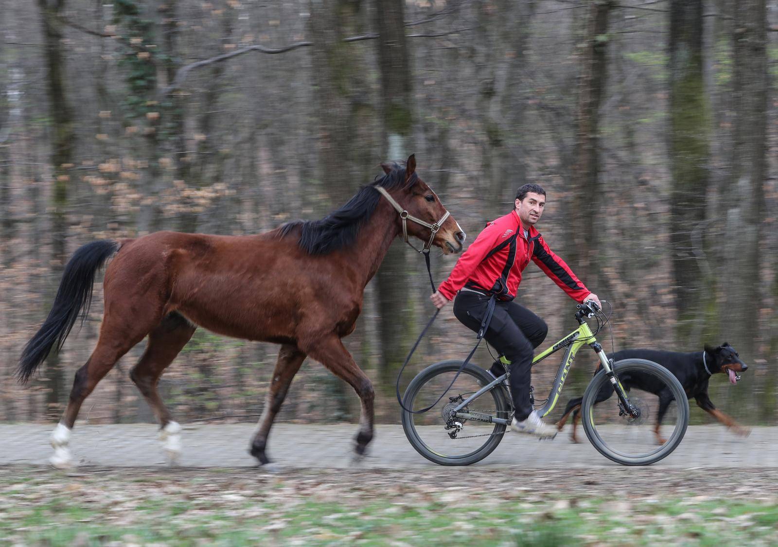 'Moj konj Kasper i ja jurimo šumama čak do 60 km na sat'