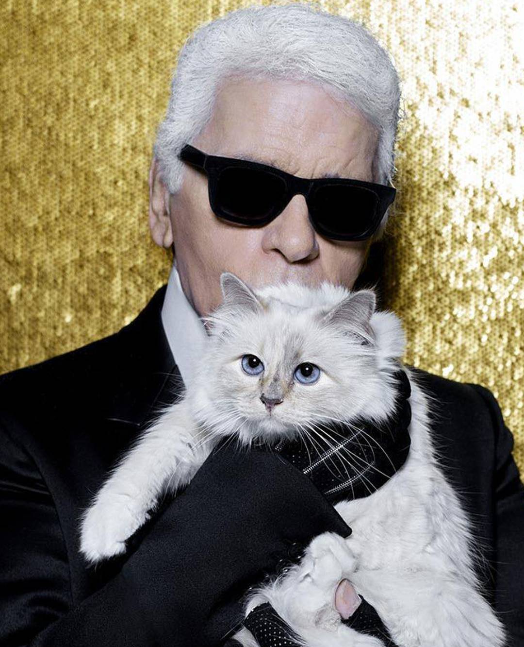 Karl Lagerfeld spasio je Chanel od propasti, izgubio 41 kg zbog mode, a milijune ostavio mački