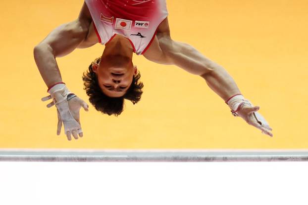 2025 World Artistic Gymnastics Championships