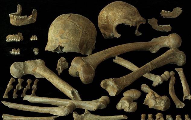 Neandertalci - dokazi