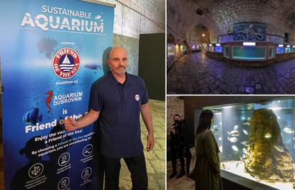 Dubrovački Akvarij je zbog svog ekološki osvještenog djelovanja dobio certifikat 'Prijatelj mora'