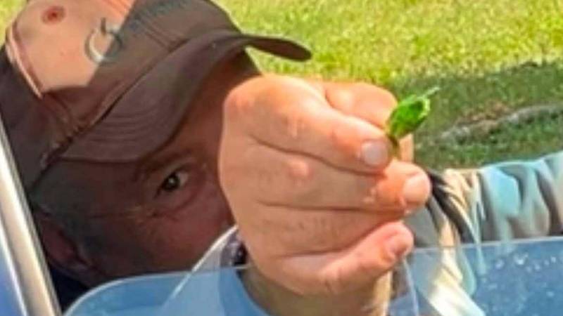 Lani 35 pedofila kažnjeno samo radom za opće dobro: neki i dalje u kontaktu s djecom