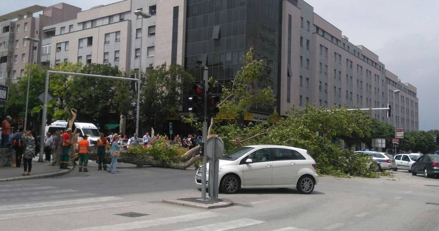 Olujno jugo usred Splita srušilo veliko deblo na policijsko vozilo