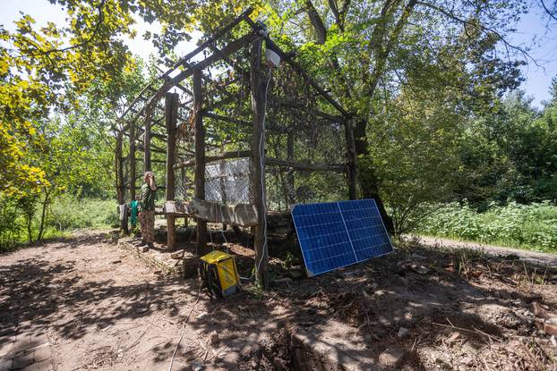 Posjetili smo Liberland na istočnoj obali Dunava, tamo vlada samoproglašeni predsjednik, a novi državljani stalno pristižu