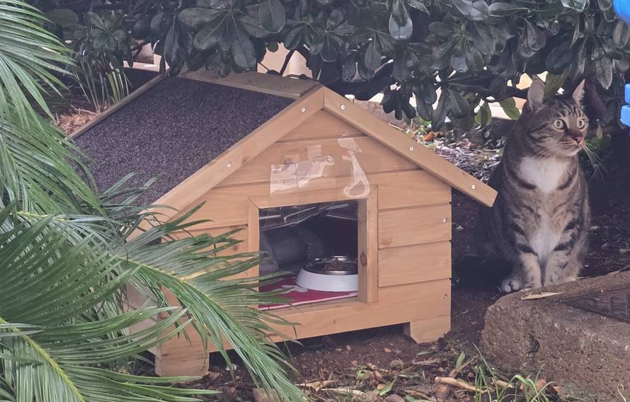 Mačak Paško dobio svoju kućicu ispred šibenske Gradske uprave