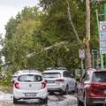 Užas u Italiji! Nevrijeme rušilo stabla: Žena poginula tijekom vožnje, više ljudi je ozlijeđeno