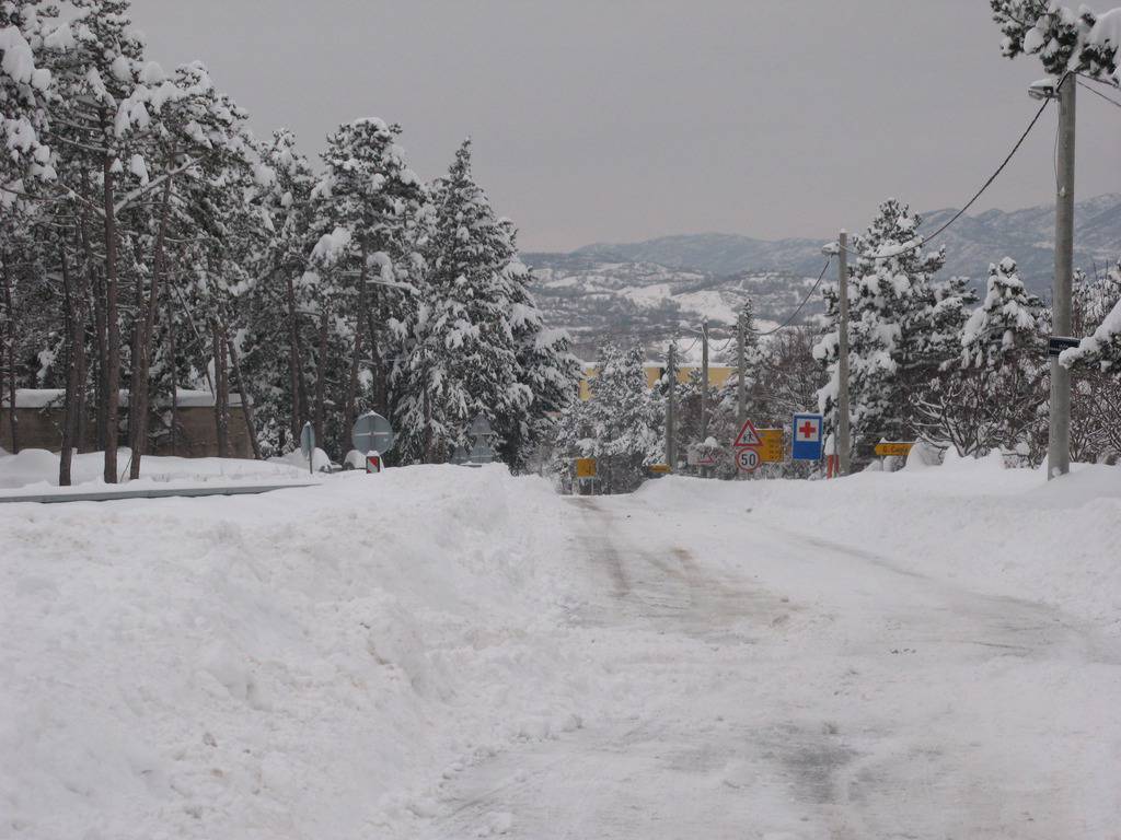 Vedrana Bekavac Šuvar