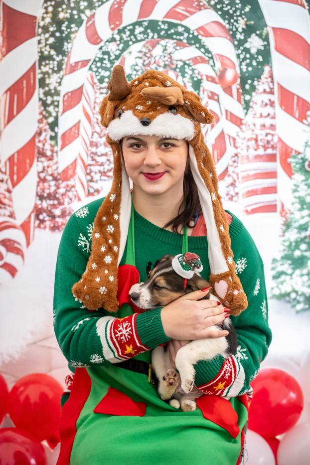 I psići vole advent: Preslatke fotke štenaca koji traže dom