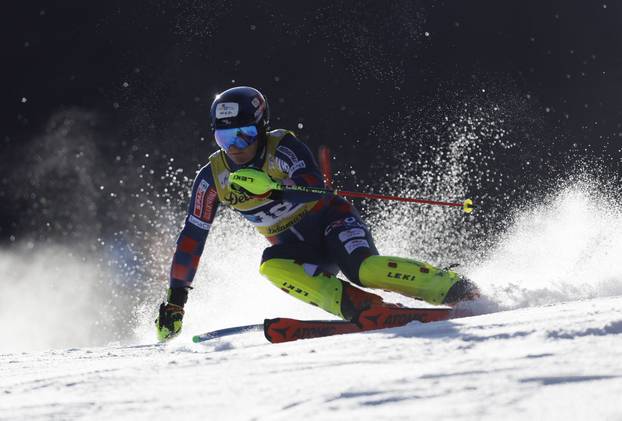 FIS Alpine Ski World Cup