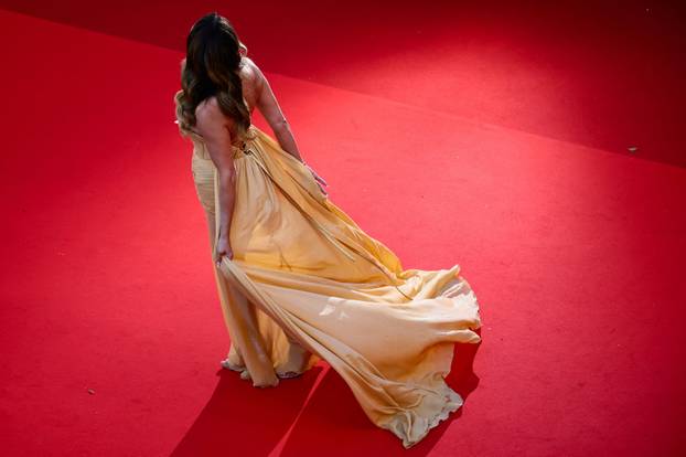 The 79th Cannes Film Festival - Opening ceremony - Red Carpet Arrivals