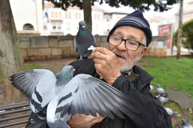 Dobri duh Pule Said Muharemi svakodnevno hrani golubove