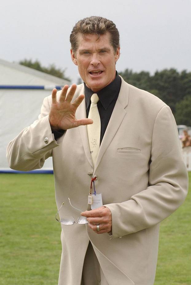 Baltimore: 17.07.1952., ro?en glumac David Hasselhoff