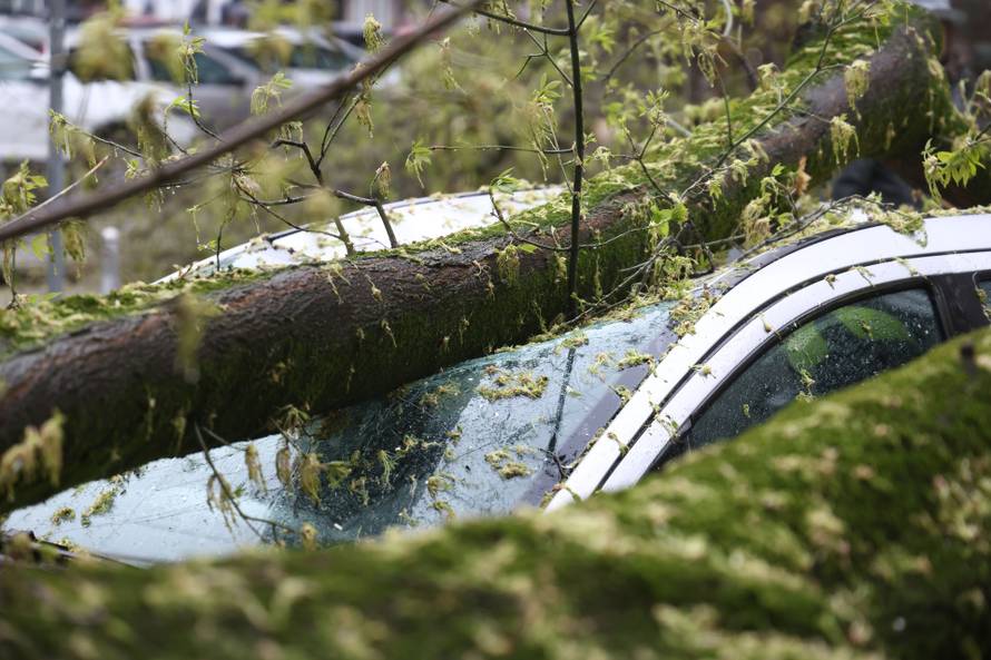 Zagreb:  Nevrijeme i jak vjetar ruše drveće koje pada po automobilima 