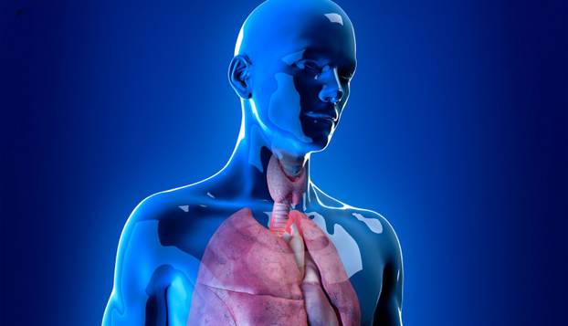 FOTO Jeziva predviđanja Babe Vange za 2026.: 'Katastrofe stižu,  prijeti nam veliki rat...'