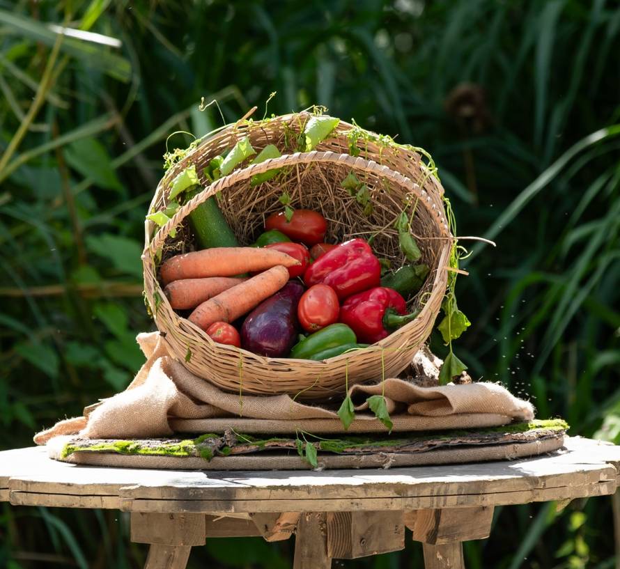 Žuti tim u Survivoru je brojčano oslabljen: Ana je u bolnici, ima probleme sa zdravljem...