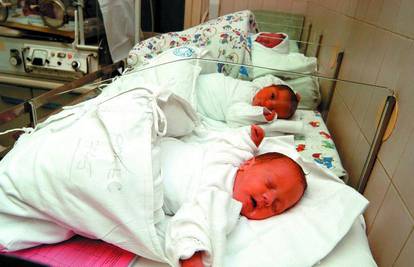 Seksom protiv krize: 300 beba više rađa se u Osijeku