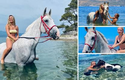 'Naš konj Cartaz jako voli more i kupanje, a 'vozi' kao trajekt'