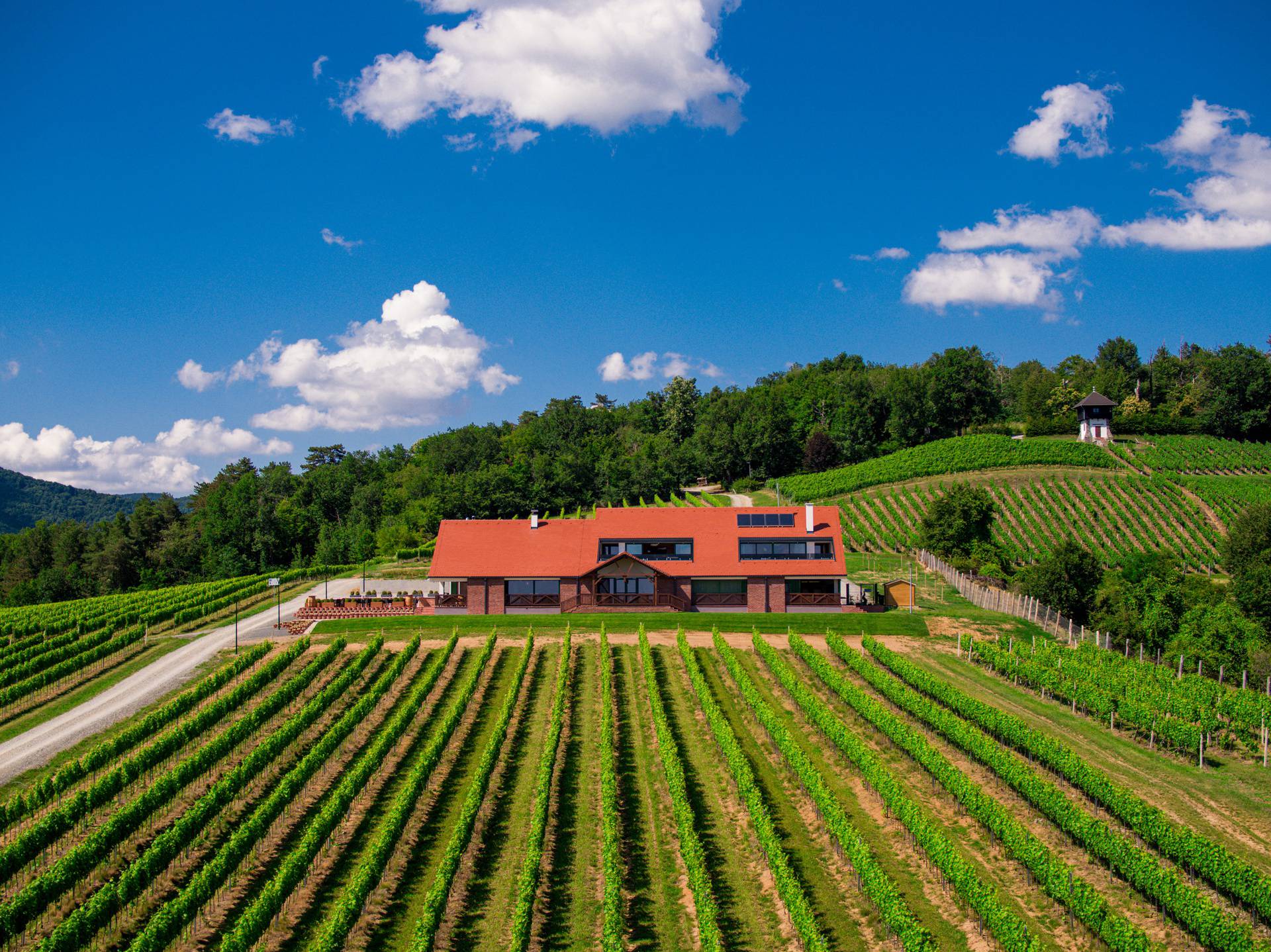 Prepustite se gastronomskoj čaroliji vinarije Kutjevo