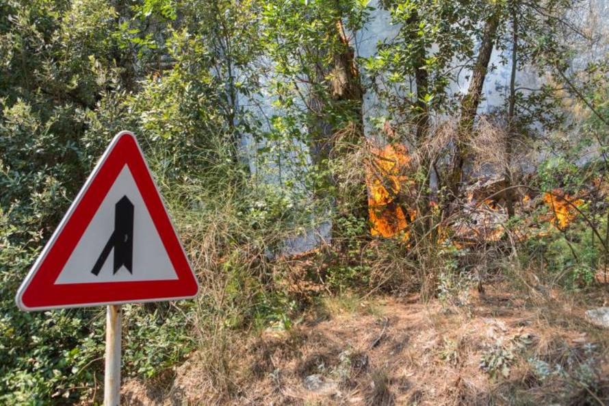 Grgo Jelavic/PIXSELL 