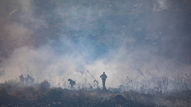 Gori iznad Orašca, vatrogasci uspjeli obraniti kuće u Ljupču, stigla 4 kanadera