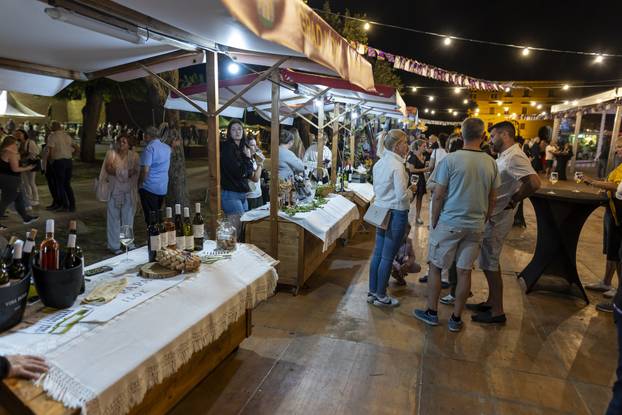 Ilok: Otvorenje 58. Iločke berbe grožđa