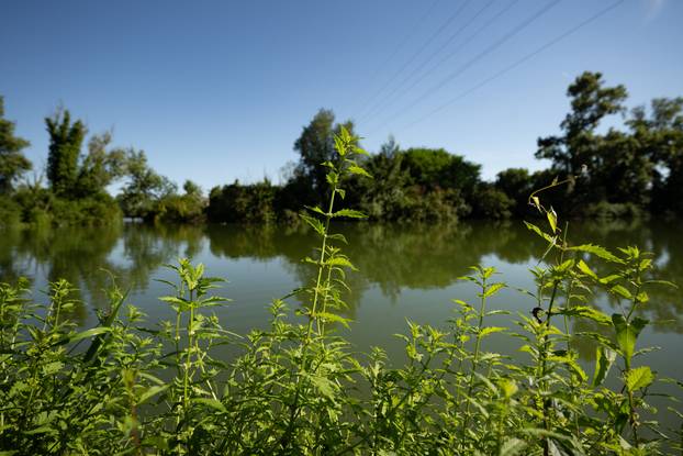 Zagreb: LJetni spokojan dan uz jezera Savica Šanci