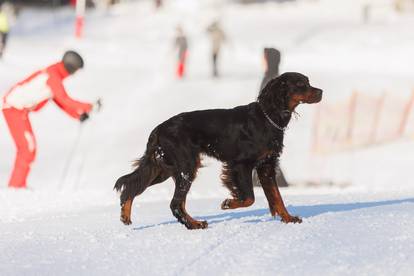 FOTO Otvorena je sezona skijanja i sanjkanja na Platku