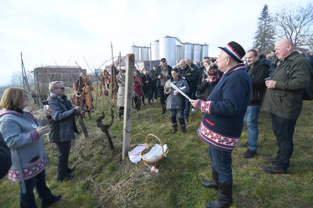 Tradicionalna proslava Vincekova u organizaciji Grada Daruvara