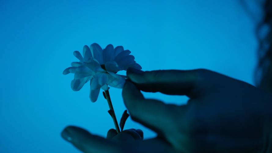 Lana S. predstavila novu pjesmu