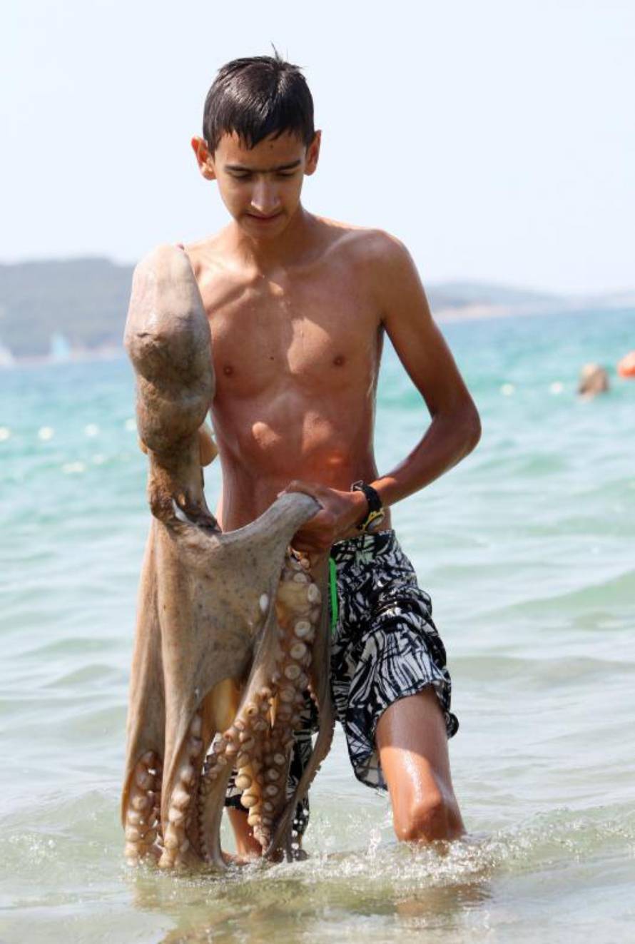 Duško Jaramaz/PIXSELL