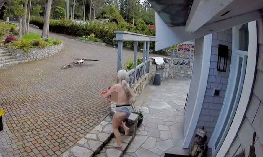 Polugola i neustrašiva: Žena u toplesu istrčala iz kuće i spasila svoju gusku od orlovog napada