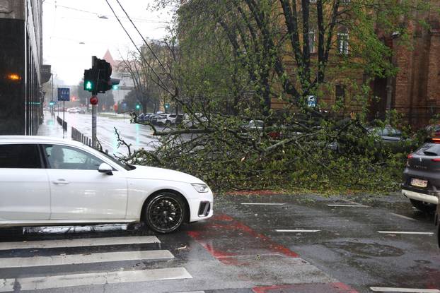 Zagreb:  Nevrijeme i jak vjetar srušili su nekoliko stabala u centru grada