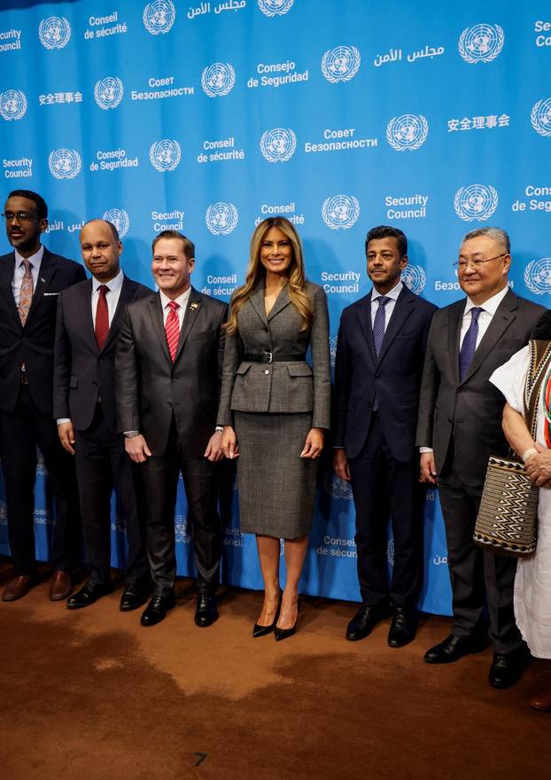 United Nations Security Council meeting in New York City