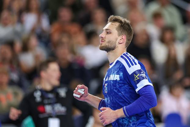 Zagreb: Machineseeker EHF Liga prvaka, 5. kolo, RK Zagreb - GOG