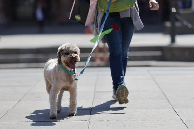 Sunčano subotnje prijepodne u Zagrebu