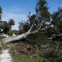 Aftermath of Hurricane Milton's landfall in Florida